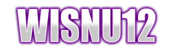Logo WISNU12